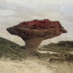 Πέλλυ Μανδρέκα – THE PRESENT (μια σύγχρονη παρουσίαση ενός χαρισματικού κόσμου)