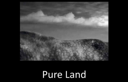 Pure Land – Τόλης Χατζηγνατίου