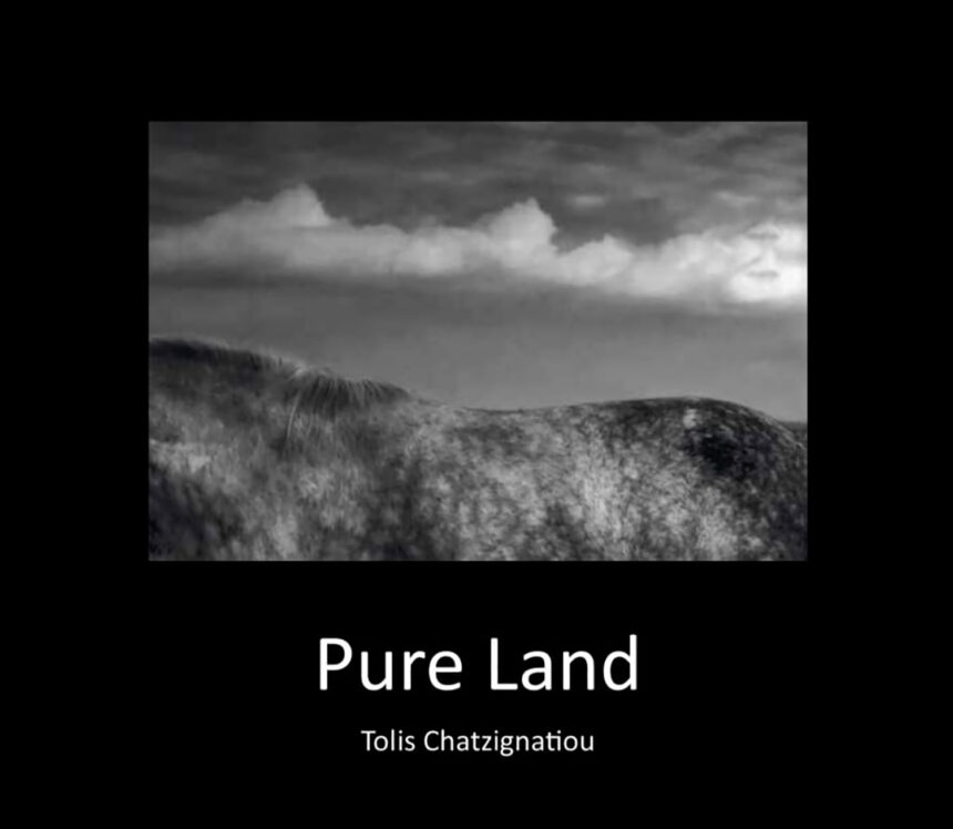Pure Land – Τόλης Χατζηγνατίου