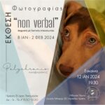 «Non verbal – Μη λεκτική επικοινωνία»| έκθεση φωτογραφίας του Πολυχρόνη Νικηφοράκη στην Ελληνική Φωτογραφική Εταιρεία