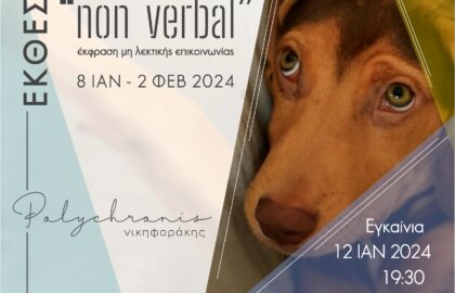 «Non verbal – Μη λεκτική επικοινωνία»| έκθεση φωτογραφίας του Πολυχρόνη Νικηφοράκη στην Ελληνική Φωτογραφική Εταιρεία