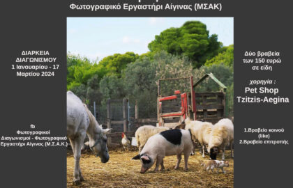 ”Οι Φίλοι μας τα Ζώα” | Διαδικτυακός Φωτογραφικός Διαγωνισμός