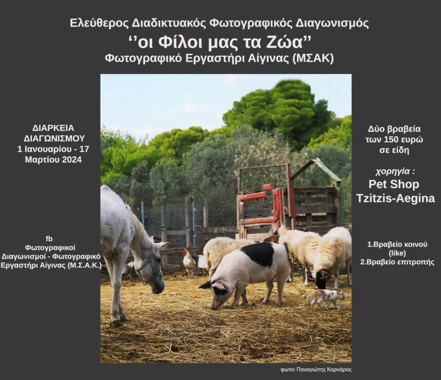 ”Οι Φίλοι μας τα Ζώα” | Διαδικτυακός Φωτογραφικός Διαγωνισμός