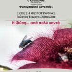 «Η Φύση… από πολύ κοντά» | φωτογραφική έκθεση του Γιώργου Γεωργουλόπουλου