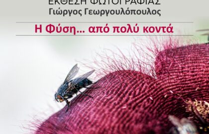 «Η Φύση… από πολύ κοντά» | φωτογραφική έκθεση του Γιώργου Γεωργουλόπουλου