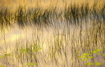 Moments of Color | Διεθνής έκθεση φωτογραφίας στην Blank Wall Gallery