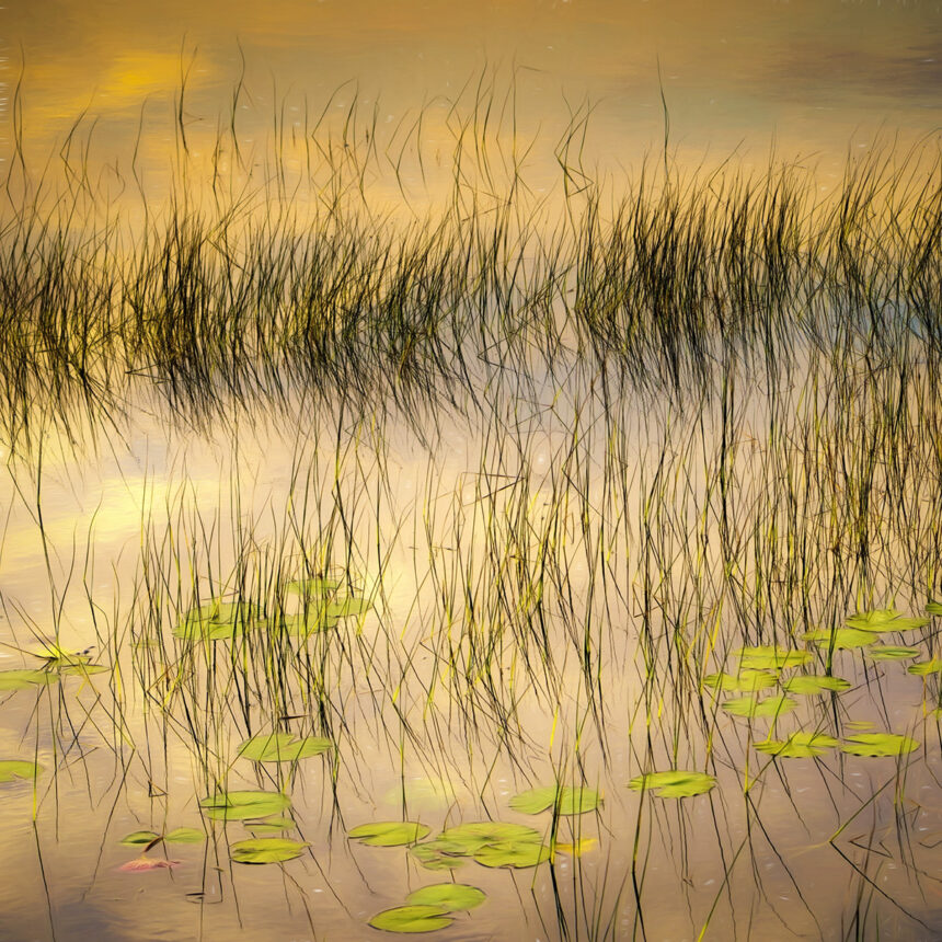 Moments of Color | Διεθνής έκθεση φωτογραφίας στην Blank Wall Gallery