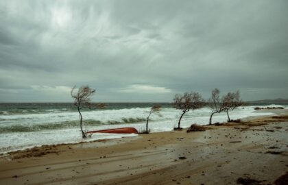 Η Μίνα Φάβα επιλέγει …