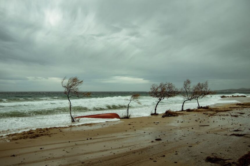 Η Μίνα Φάβα επιλέγει …