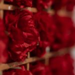 «Όλοι εδώ – 50 χρόνια Δημοκρατία» | Παρουσιάσεις-συζητήσεις στην έκθεση του MOMus-Μουσείο Άλεξ Μυλωνά