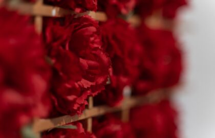 «Όλοι εδώ – 50 χρόνια Δημοκρατία» | Παρουσιάσεις-συζητήσεις στην έκθεση του MOMus-Μουσείο Άλεξ Μυλωνά