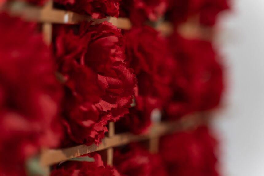 «Όλοι εδώ – 50 χρόνια Δημοκρατία» | Παρουσιάσεις-συζητήσεις στην έκθεση του MOMus-Μουσείο Άλεξ Μυλωνά