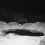 Γιώργος Καψαλάκης – I was looking for the sun, but it was hiding