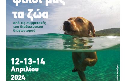 ”Οι Φίλοι μας τα Ζώα” | έκθεση φωτογραφίας από το Φωτογραφικό Εργαστήρι Αίγινας