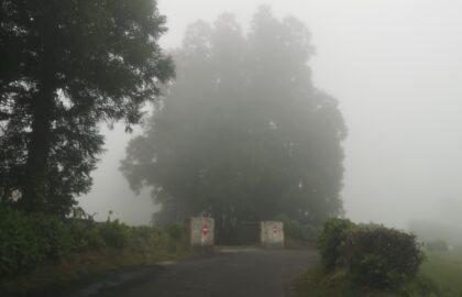 Αγάπη Φεσατίδου-Ψαρράκη – In Silence