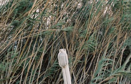 Photosynthesis 2024 – Υποβολή συμμετοχών