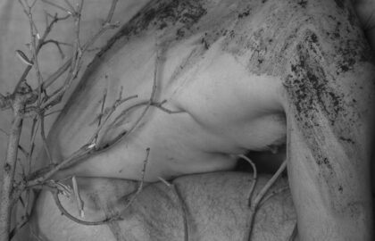 Στρατής Δάνος – Soil