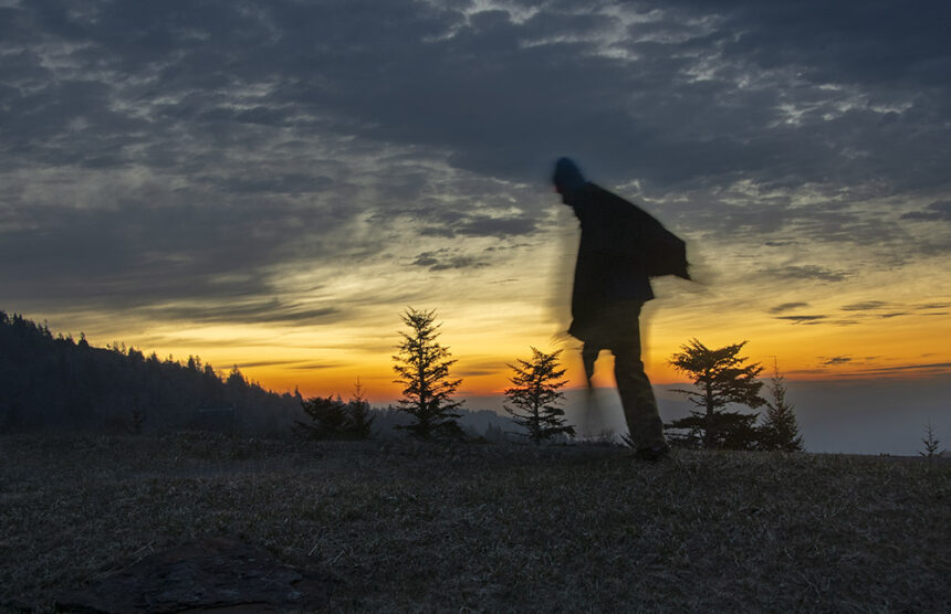 “Always Rising” | Έκθεση φωτογραφίας της Vicki Provost  στην Blank Wall Gallery