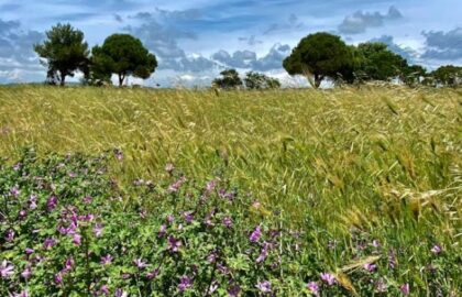 Eyes of Light | εργαστήριο θεραπευτικής φωτογραφίας