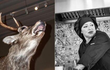 BlackBox Photography – Έκθεση φωτογραφίας μαθητών 1ου έτους