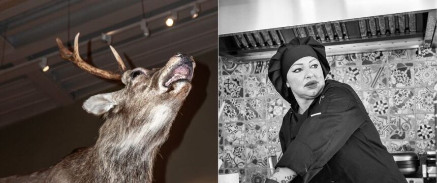 BlackBox Photography – Έκθεση φωτογραφίας μαθητών 1ου έτους