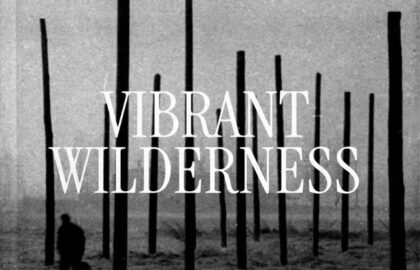 «Vibrant Wilderness» | Photobook του Σωτήρη Λάμπρου