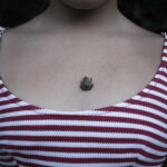 Η Φανή Βόικου επιλέγει …