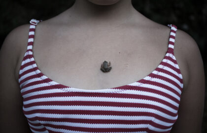 Η Φανή Βόικου επιλέγει …