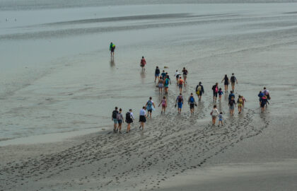 Η Σοφία Μποντρουά – Μαυρίδου επιλέγει …