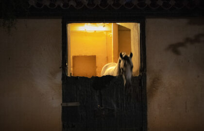 Η Αμαλία Κατωστάρη επιλέγει …