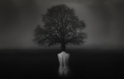 Η Δήμητρα Ψυχογυιού επιλέγει …