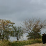 Η Έλλη Ξυπολιτάκη επιλέγει …