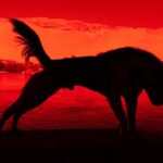 Paradise του Gian Marco Sanna | φωτογραφική έκθεση στην Iris Arles