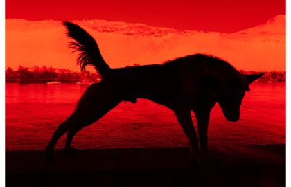 Paradise του Gian Marco Sanna | φωτογραφική έκθεση στην Iris Arles