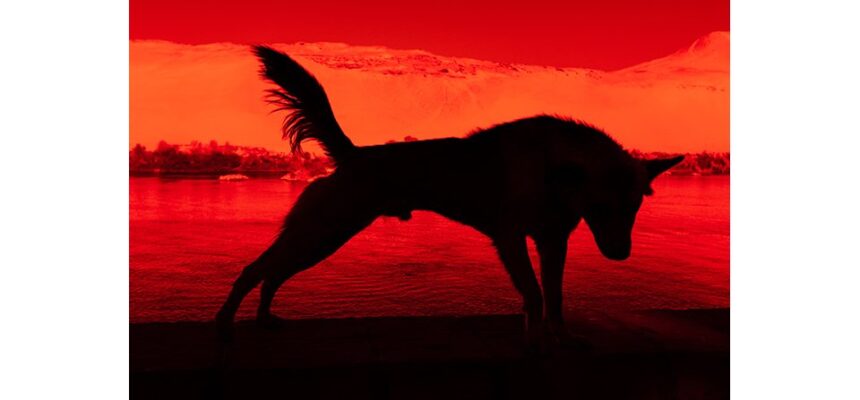 Paradise του Gian Marco Sanna | φωτογραφική έκθεση στην Iris Arles