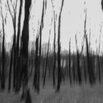 Η Ματίνα Λαδά επιλέγει …