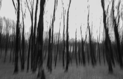 Η Ματίνα Λαδά επιλέγει …