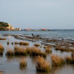 Ο Πάνος Παπασωτηρίου επιλέγει …