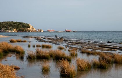 Ο Πάνος Παπασωτηρίου επιλέγει …
