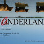 Wanderland | Έκθεση φωτογραφίας μαθητών της Σχολής Luz Visual Studies