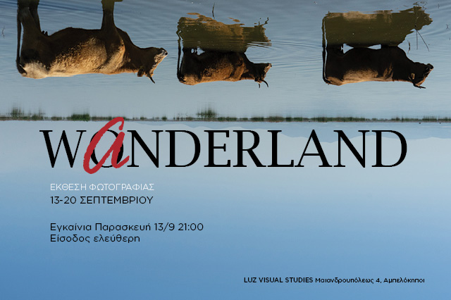 Wanderland | Έκθεση φωτογραφίας μαθητών της Σχολής Luz Visual Studies