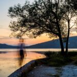 Ο Νάσος Παπαδοκωστόπουλος επιλέγει …