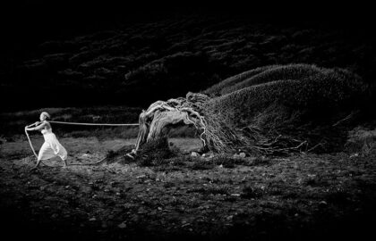 HOCUS PHOTUS | σεμινάρια φωτογραφίας