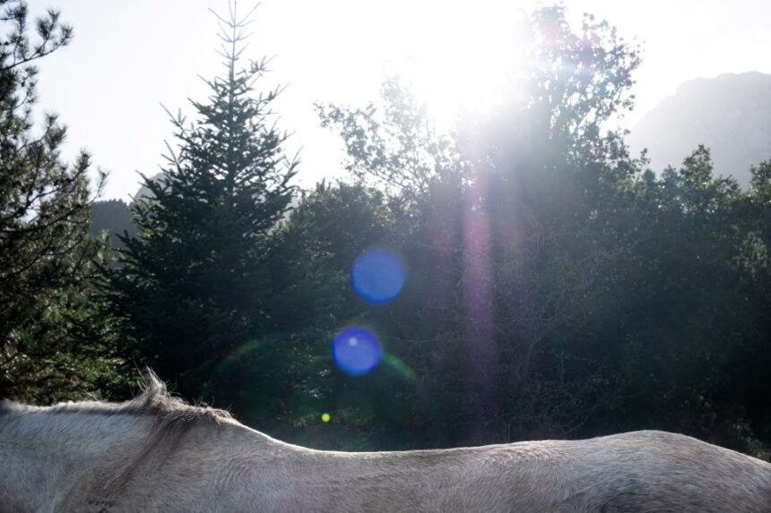 Σοφία Δαλαμάγκα: Καμία φωτογραφία δεν μπορεί να σε γλιτώσει από το υπαρξιακό κενό