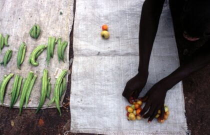 ΝΕΑ ΕΡΓΑΣΤΗΡΙΑ ΝΟΕΜΒΡΙΟΥ από την ΜΑΡΩ ΚΟΥΡΗ  