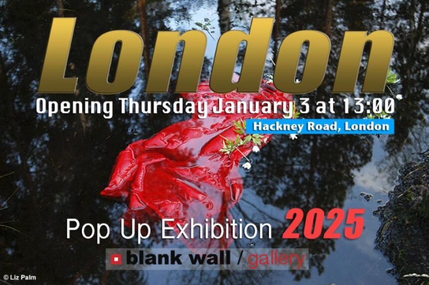 Η έκθεση Pop-Up της Βlank Wall Gallery στο Λονδίνο