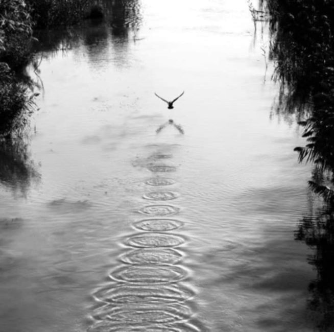 Ο άνεμος του Νοεμβρίου (ΙV)