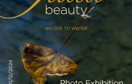 “Fluid Beauty” | Ατομική έκθεση φωτογραφίας της Εύας Μπέρλερ