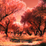 Φίλιππος Μανωλάτος | THE UNSEEN – Έκθεση φωτογραφίας