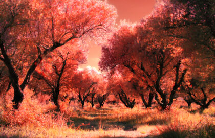 Φίλιππος Μανωλάτος | THE UNSEEN – Έκθεση φωτογραφίας